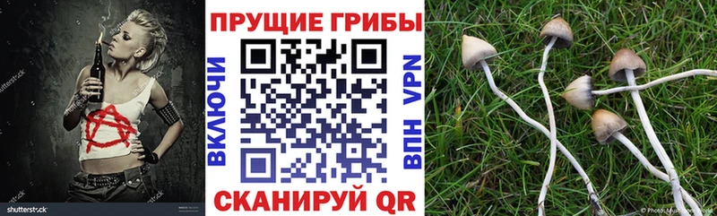 где купить наркоту  Нарткала  Галлюциногенные грибы мухоморы 